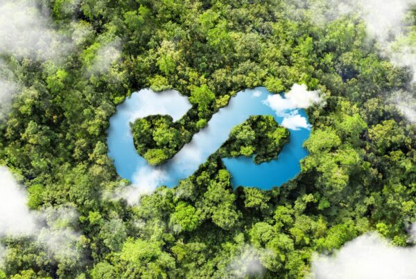 shutterstock 2475078631 scaled