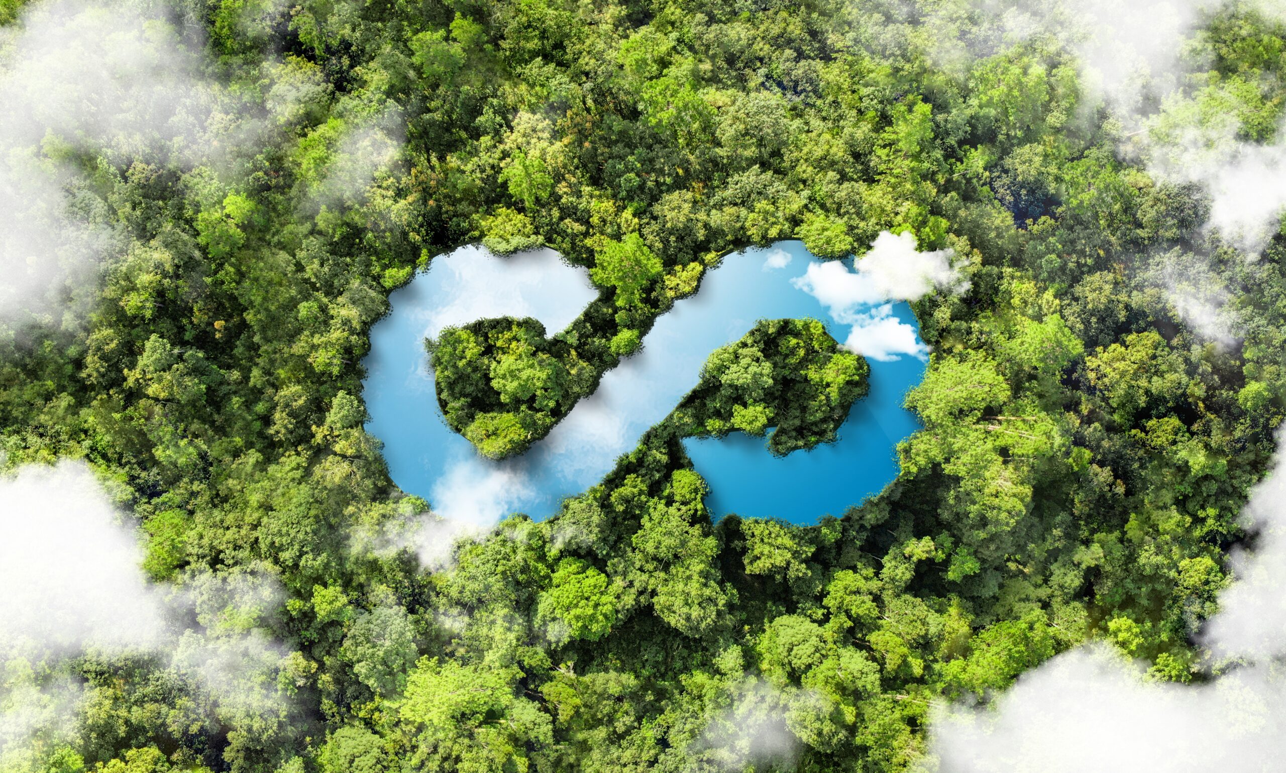 shutterstock 2475078631 scaled